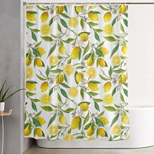 shower curtain #1